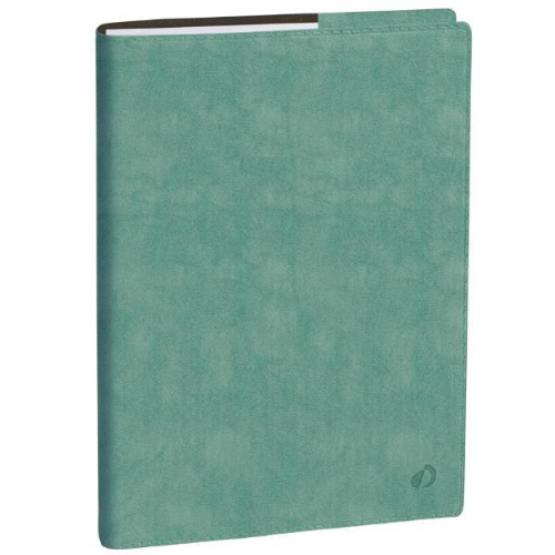 Quo Vadis AGENDA DEL PROFESSORE ROMA ACQUAMARINA